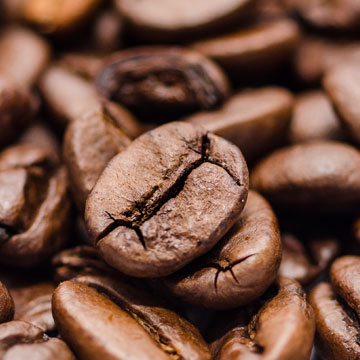 Holualoa coffee farm