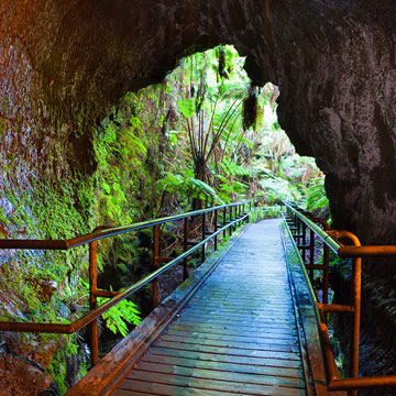 Thurston Lava Tube on the Island of Hawaii