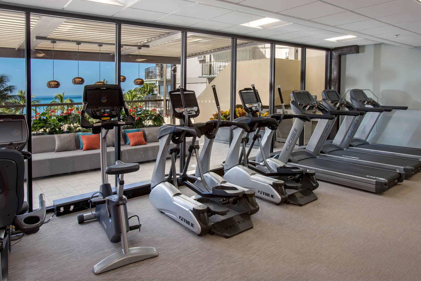 Fitness center cardio machines with large windows
