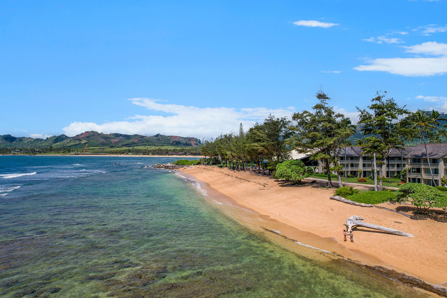 Resort Shoreline
