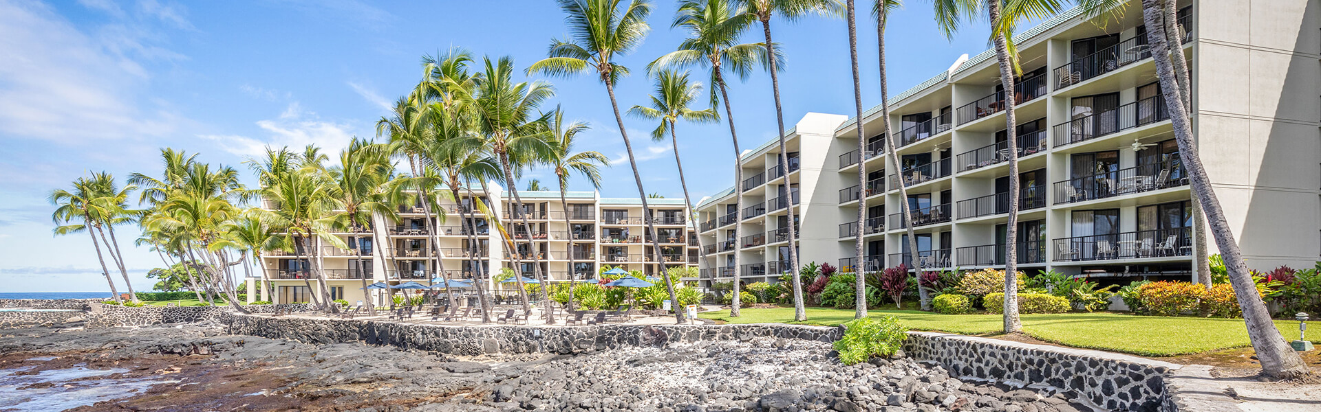 View from the lanai of the blue waters, coconut trees, blue sky with a few puffy white clouds