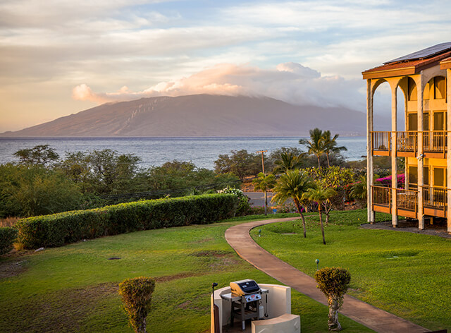 Lawn area at dusk with the hotel and palm trees in view
