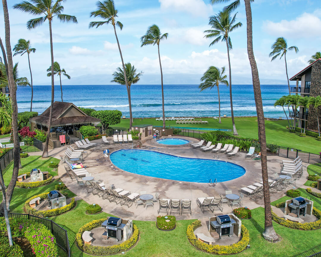 View of swimming pool and gardens next to ocean.
