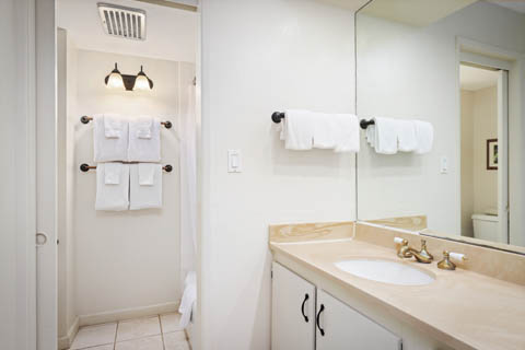 Two-Bedroom Garden View Suite bathroom