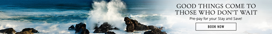 Good things come to those who don't wait. Pre-pay for your stay and save! BOOK NOW.