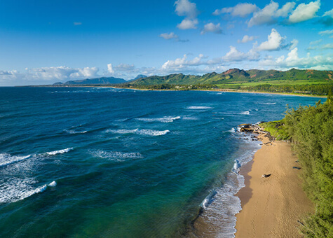 Friends walking around tide pools
